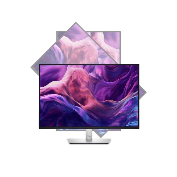Dell P2425E Monitor USB C Hub 24 inch vertical position