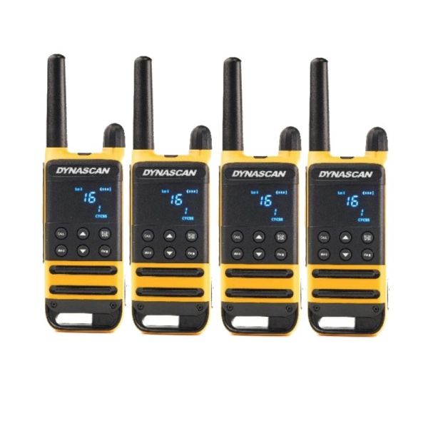 Dynascan P19 Quad