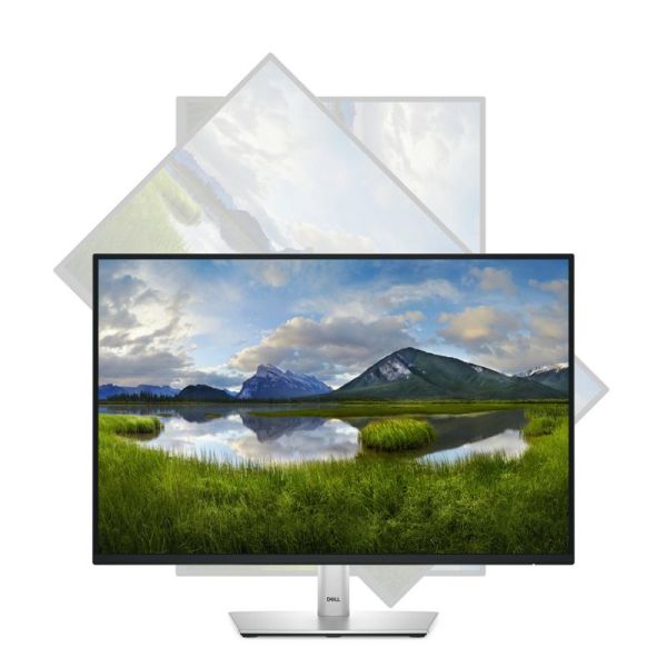 Dell Pro P2425 professional display
