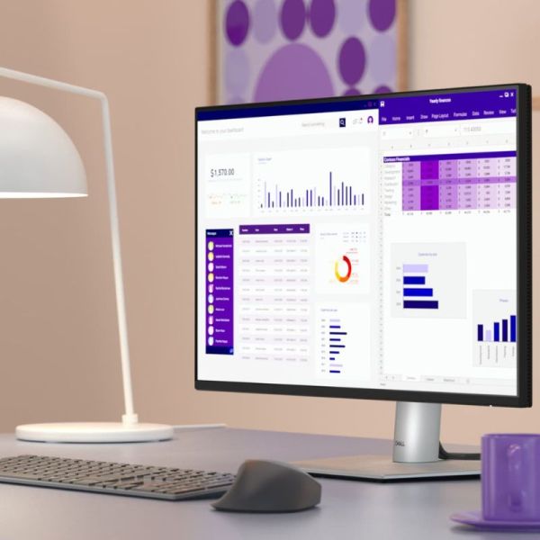Dell Pro 24 Plus P2425HE professional office setup
