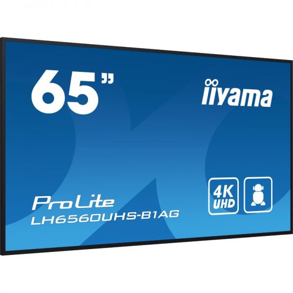 iiyama ProLite LH6560UHS-B1AG 