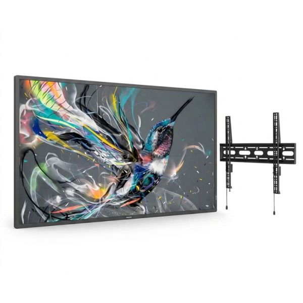 Philips Q-Line 86 with B-Tech BT9903 wall mount