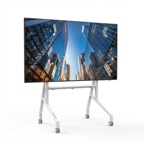 Pack Samsung QE98C 98'' + Neomounts FL50-525WH1