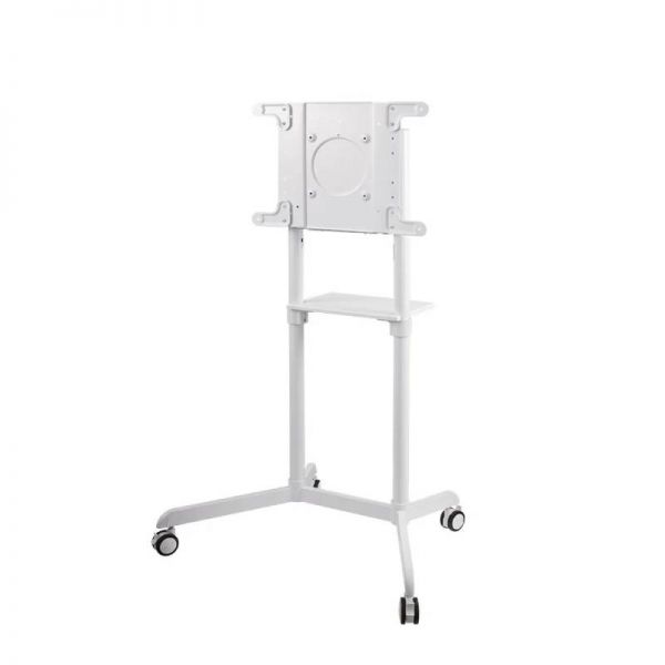 Samsung Flip Pro 65'' + soporte Neomounts 