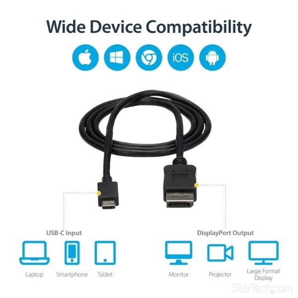 StarTech USB C to DisplayPort Compatibility