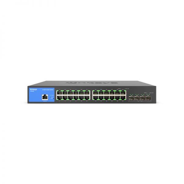 Business Switch - 24 Port