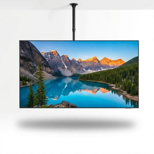 Pack Samsung BE50FX-H 50