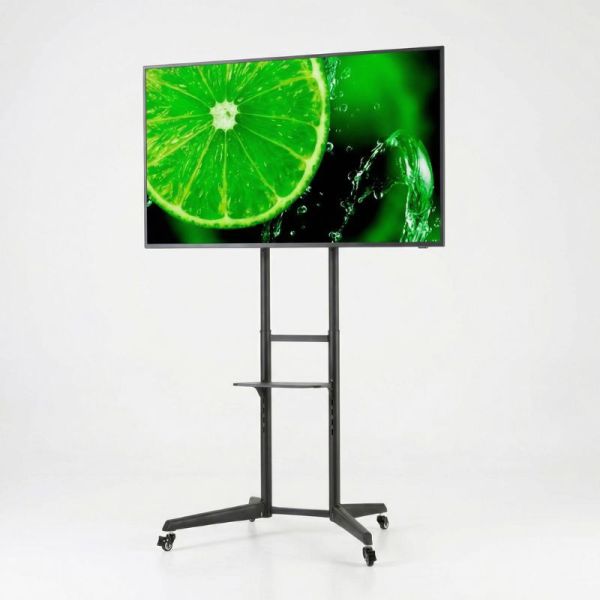 Pack NEC MultiSync E658 65