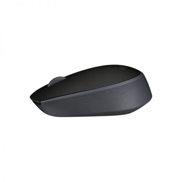 Logitech Mouse M171