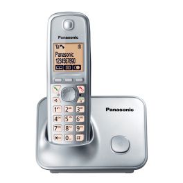 Panasonic KX-TG6611SPM