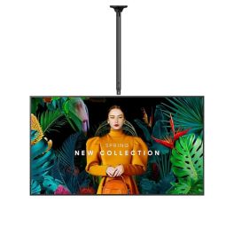 Pack pantalla Samsung QBC 55" + soporte de techo Neomounts