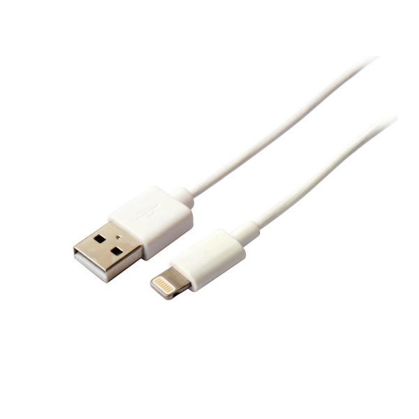 Cable de Datos iPhone y iPad mejor precio | Onedirect