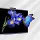 Huawei IdeaHub S3 75 Inch 4K Display Image Quality
