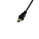 Cable Mini Cables USB 2.0 (30 cm) - USB A a Mini B H/M