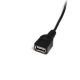 Cable Mini Cables USB 2.0 (30 cm) - USB A a Mini B H/M