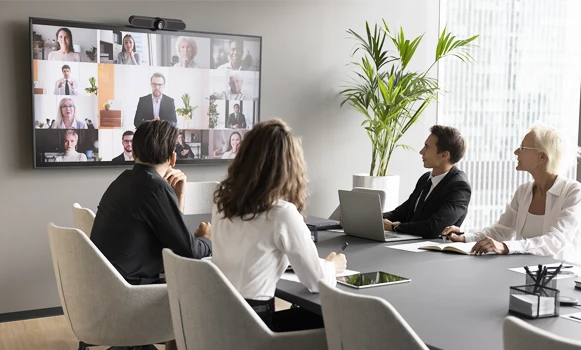 Pantallas profesionales