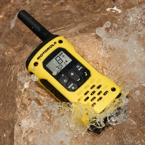 Todo lo que necesita saber sobre el índice IP