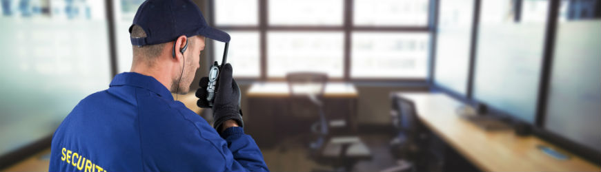 Walkie Talkies por sectores